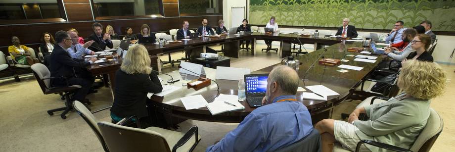 ©FAO/Riccardo De Luca