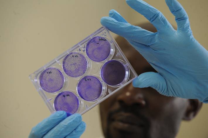 Photo: ©FAO/Simon Maina