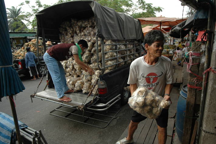 Photo: ©FAO/Dan White