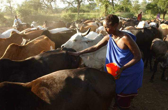 Photo: ©FAO/Giuseppe Bizzarri
