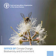 Brochure du Bureau du changement climatique, de la biodiversité et de l’environnement