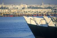 Morocco, Agadir port ©FAO/Giuseppe Bizzarri