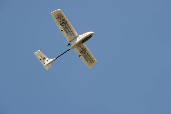 Photo: ©FAO/Jay Directo