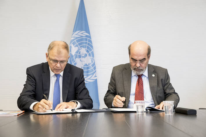 FAO/Cristiano Minichiello