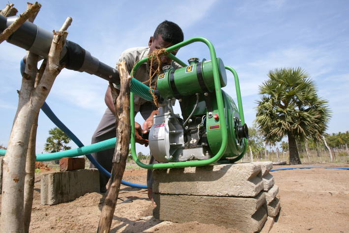 الصورة: ©FAO/FAO/Prakash Singh