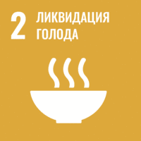SDG 2