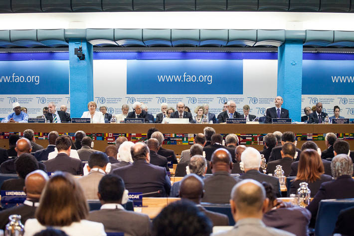 Photo: ©FAO/Giuseppe Carotenuto