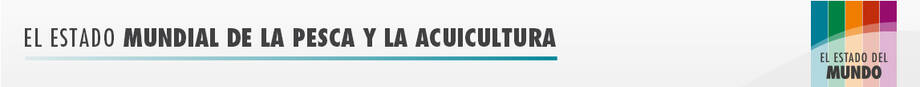 El estado mundial de la pesca y la acuicultura