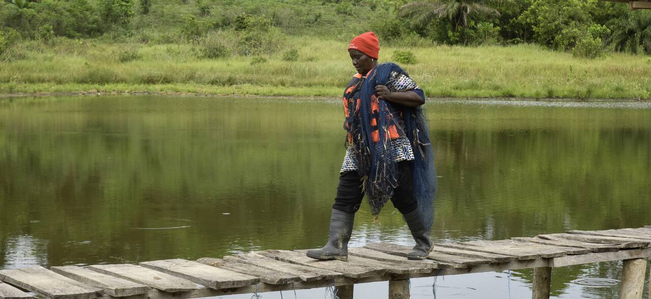 © FAO / Celeste Diom
