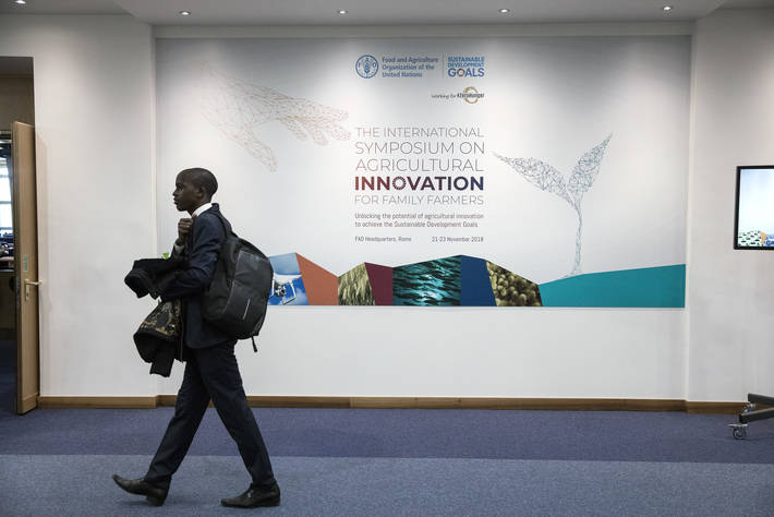 Photo: ©FAO/Alessia Pierdomenico