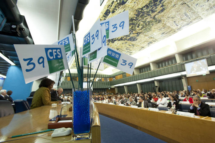 Photo: ©FAO/Alessandra Benedetti