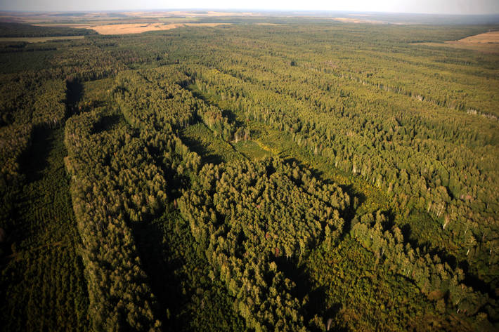 Photo: ©FAO/Vasily Maksimov