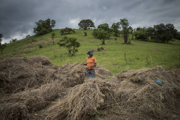 Photo: ©FAO/Marco Longari