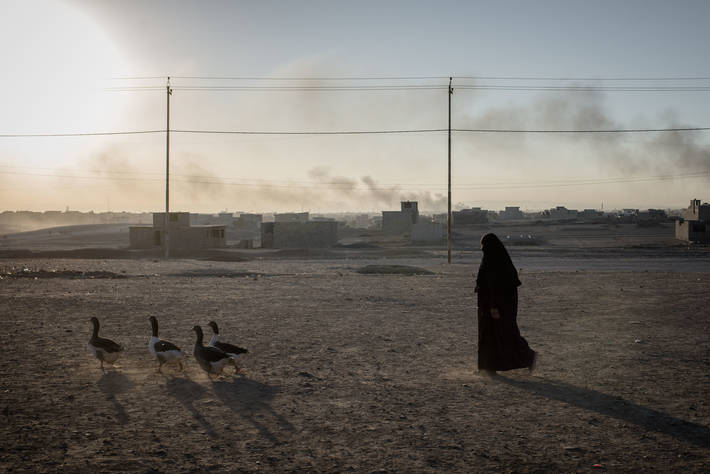 Photo: ©FAO/Cengiz Yar