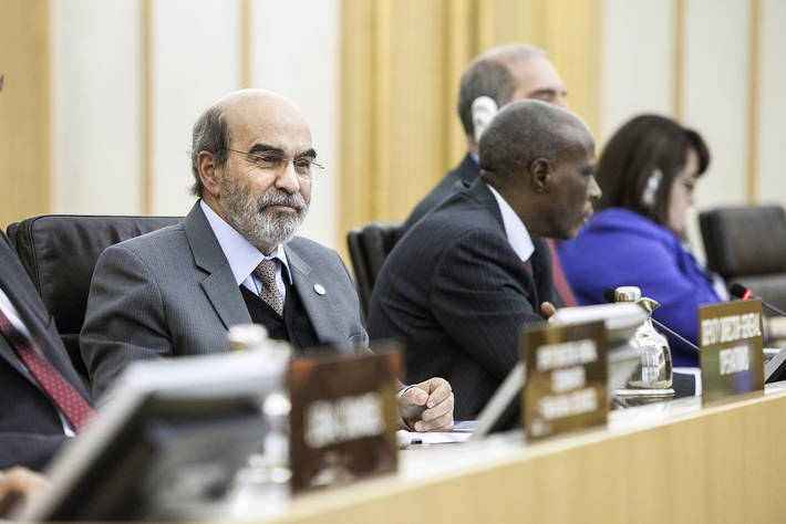 Photo: ©FAO/Giulio Napolitano