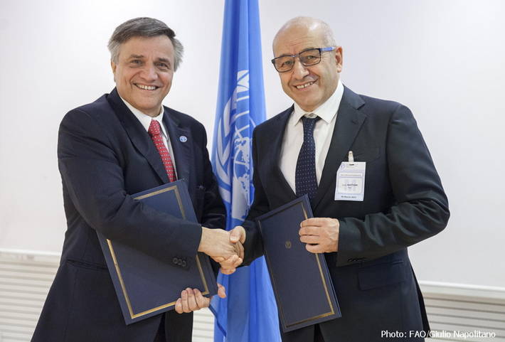 Photo: ©FAO/Giulio Napolitano