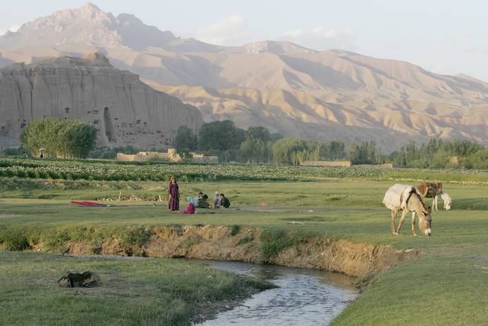 الصورة: ©FAO/Giulio Napolitano