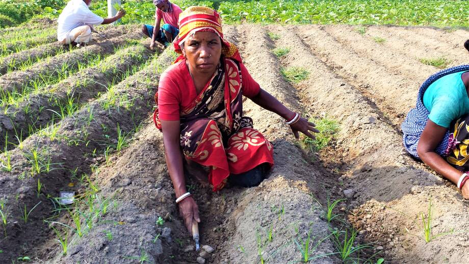 Bangladesh | Global Soil Partnership | Food and Agriculture Organization of the United Nations