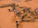 Photo: ©Ministry of the Environment and Sustainable Development of Mauritania/Moustapha Ould Mohamed