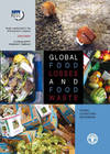 Global food losses and food waste