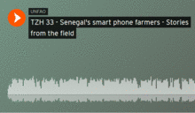 TZH 33 - Senegal's smart phone farmers 