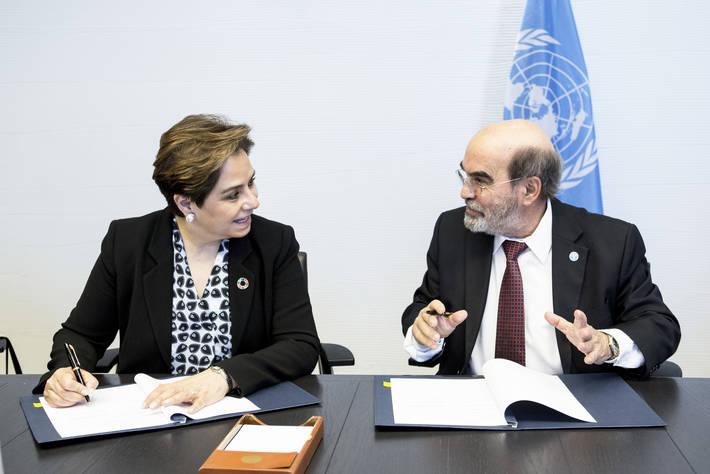 Photo: ©FAO/Alessandra Benedetti