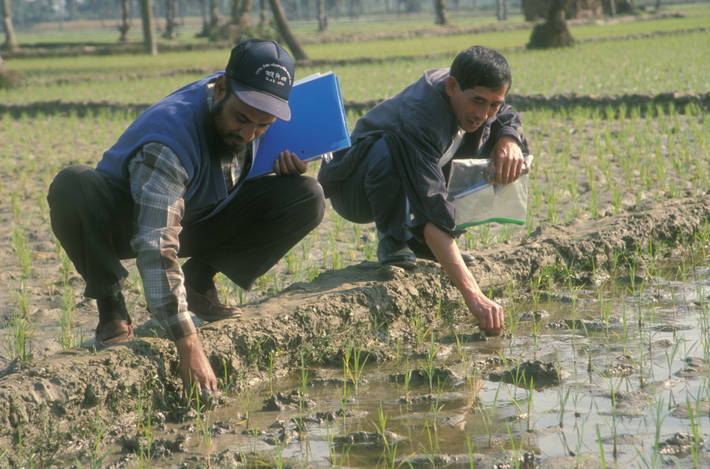 Photo: ©FAO/Giampiero Diana