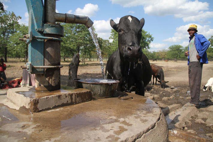 Photo: ©FAO/Believe Nyakudjara