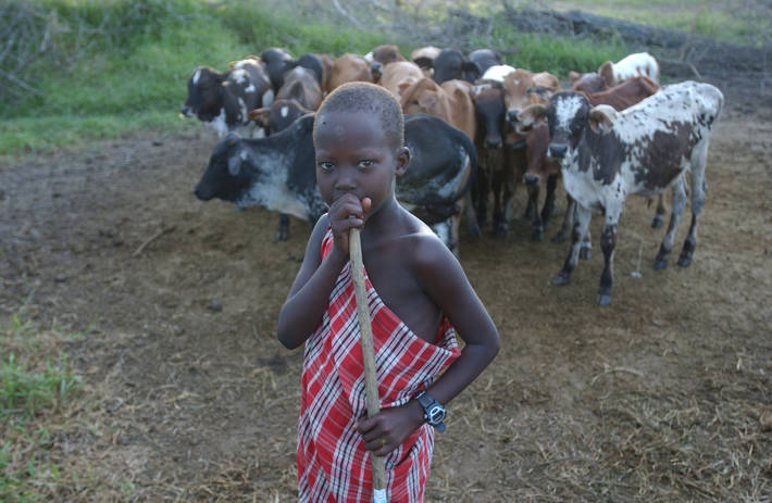 Photo: ©FAO/Giuseppe Bizzarri