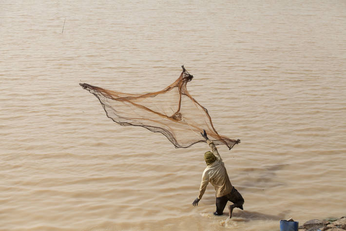 Foto: ©FAO/Giulio Napolitano