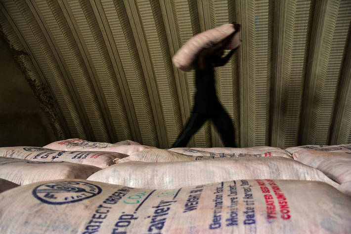 Photo: ©FAO/J. Belgrave