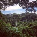 Photo: ©FAO/Melanie Pisano