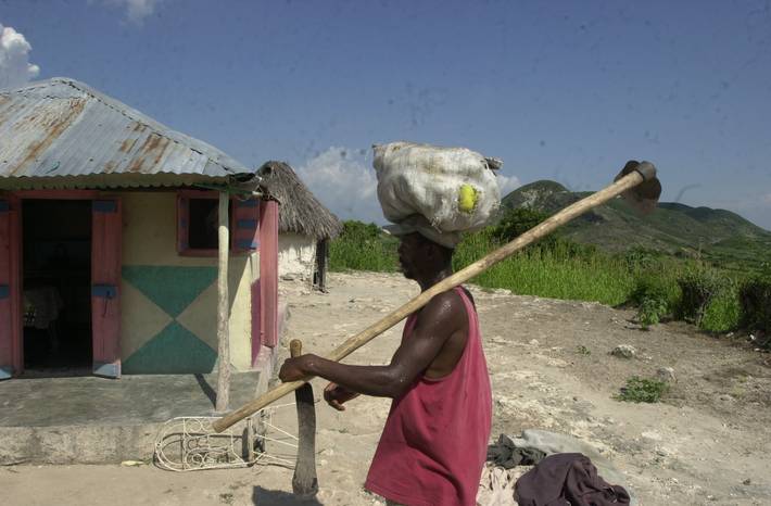 Photo: ©FAO/Thony Belizaire