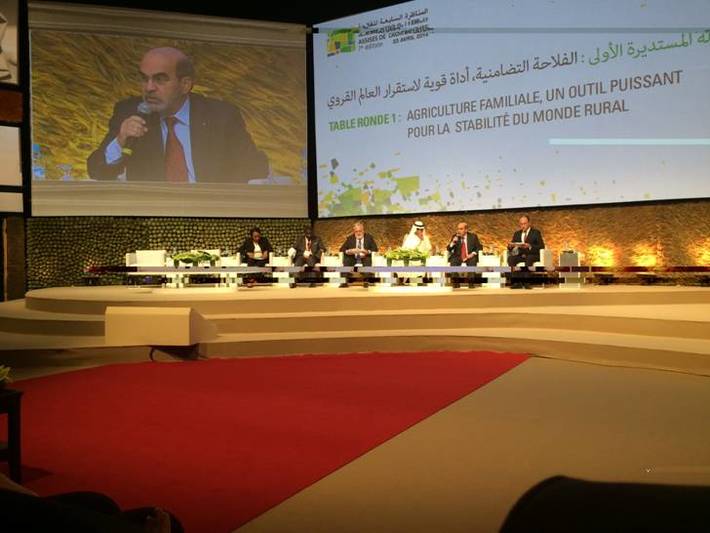 Photo: ©FAO/Raschad Alkhafaji