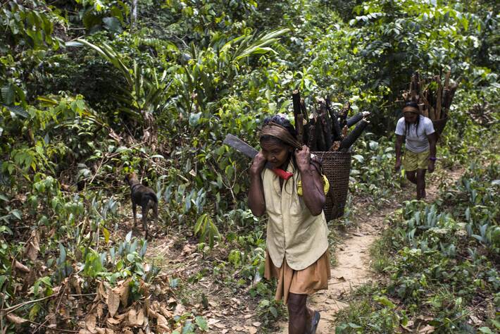 Indigenous Peoples, Afro-Descendants and Migrants: Listen and They Will Speak - Vimarsana News