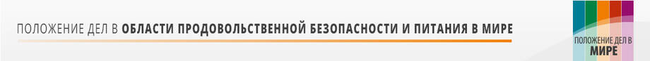 Положение дел в области продовольственной безопасности и питания в мире Положение дел в области продовольственной безопасности и питания в мире