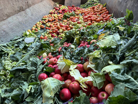 La FAO y la SAGyP celebraron el D&iacute;a Mundial de la Alimentaci&oacute;n con referentes de las 5 regiones de la Argentina
