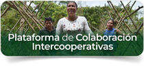 Ir al sitio de Cooperativas en América Latina y el Caribe