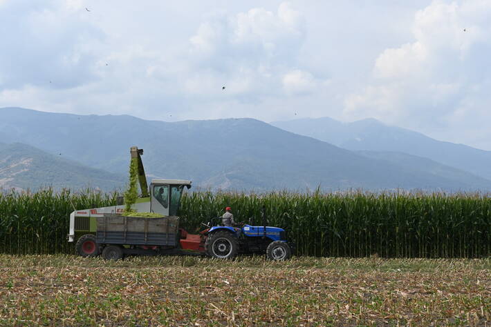 Global Food Prices Rose in May at Their Fastest Monthly Rate in over Ten Years - Vimarsana News
