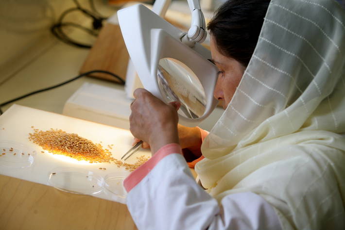 Photo: ©FAO/Giulio Napolitano