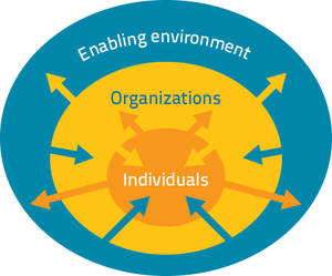 Analyse Organizational Performance, FAO Capacity Development