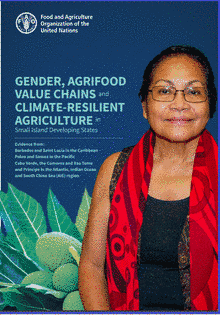 Gender, agrifood value chains and climate-resilient agriculture in Small Island Developing States