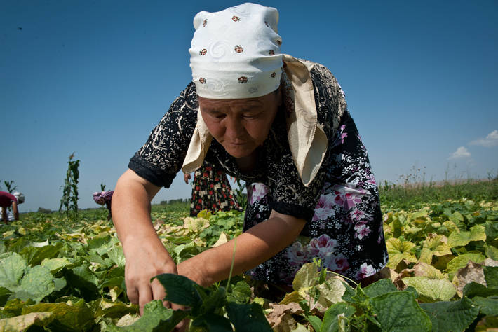 Photo: ©FAO/Sergey Kozmin