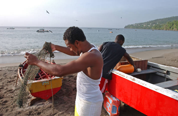 Photo: ©FAO/ Giuseppe Bizzarri