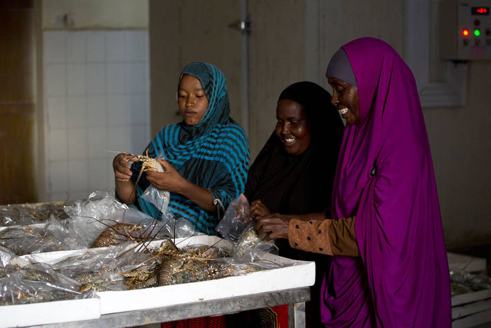 Photo: ©FAO/Karel Prinsloo