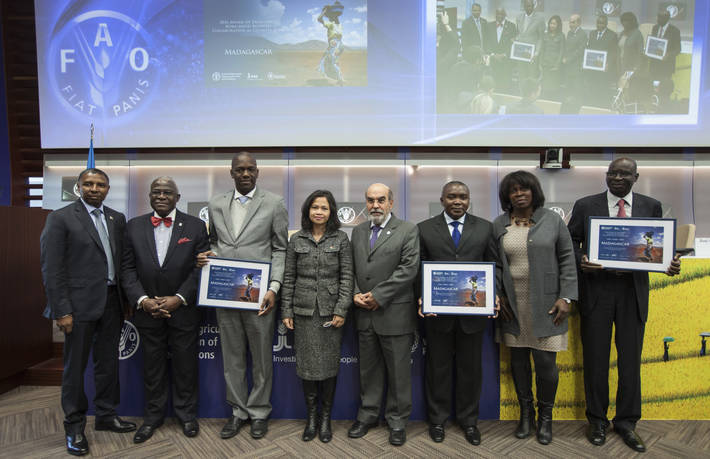 Photo: ©FAO/Giulio Napolitano