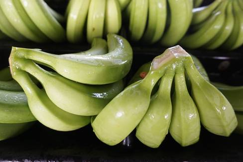 © Rainforest Alliance