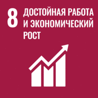 SDG 8