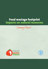 Food Wastage Footprint. Impact on Natural Resources