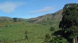 Landscape of the Kagera basin